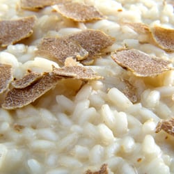 Ristorante Minerva - Risotto al tartufo