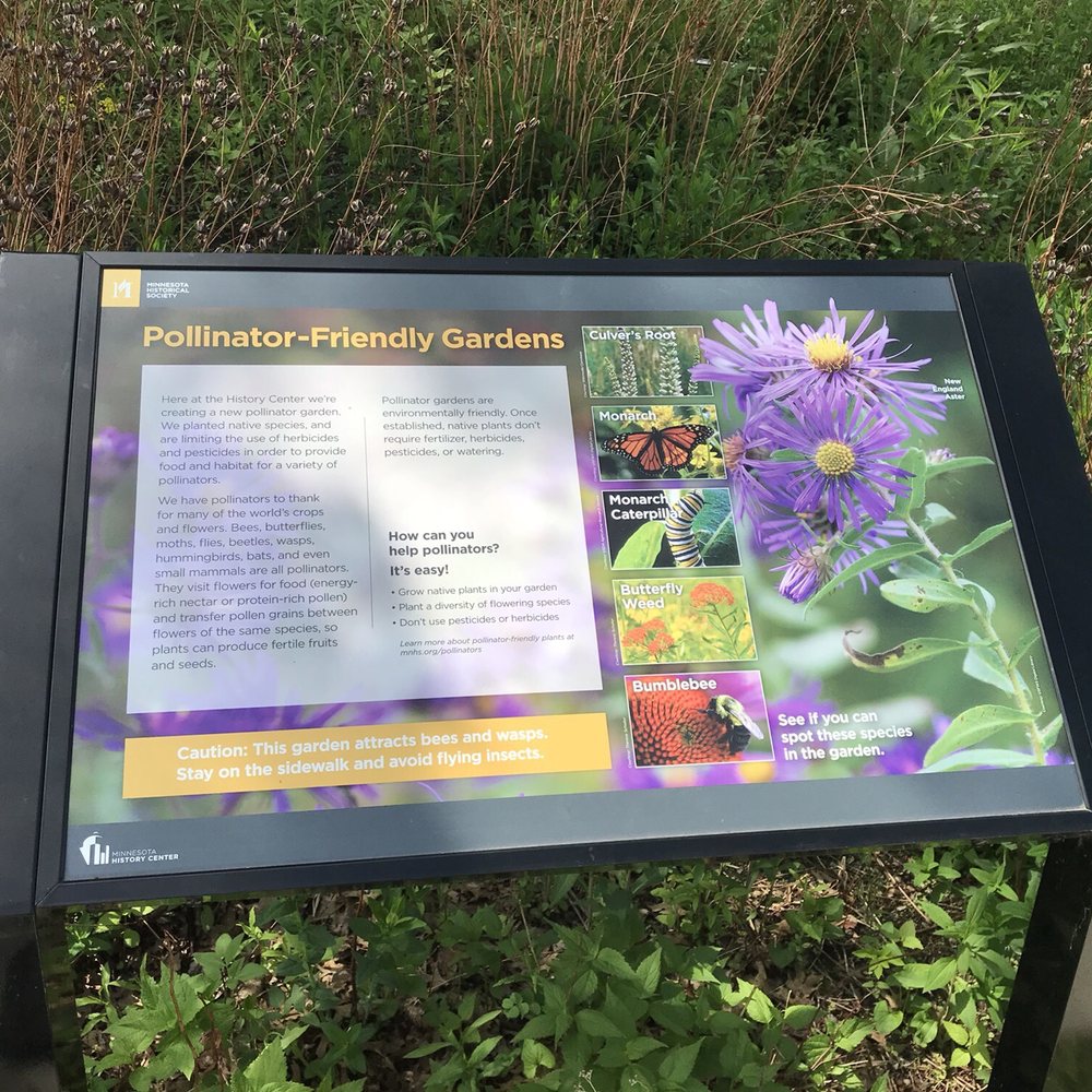 Minnesota History Center - Museums Near Me - Saint Paul, Minnesota