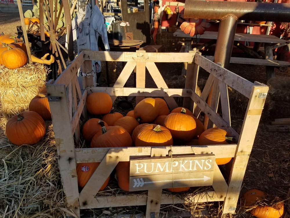 McKee Ranch 235 Photos & 94 Reviews Ranches 8982 Dean Martin Dr