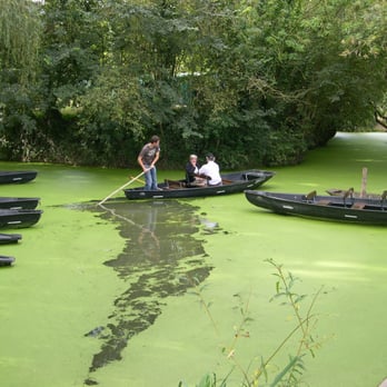 Embarcadère de l'Abbaye - départ du Port - Boating Near Me - Maillezais, 85