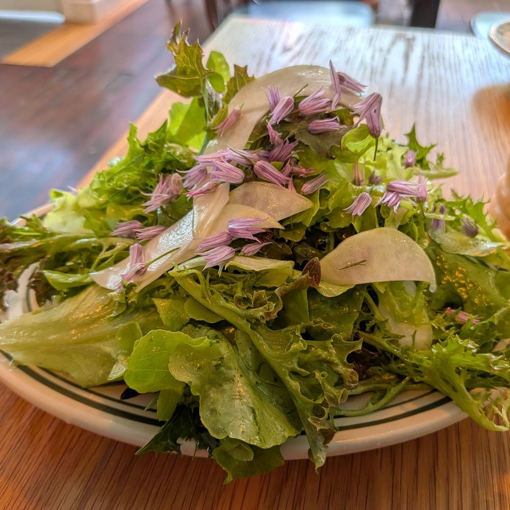 Neon Newt - Salad - Breakfast & Brunch Near Me - Becket, Massachusetts Neon Newt - Salad - Breakfast & Brunch Near Me - Becket, Massachusetts