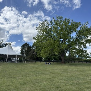 Blenheim Vineyards - Wineries Near Me - Charlottesville, Virginia
