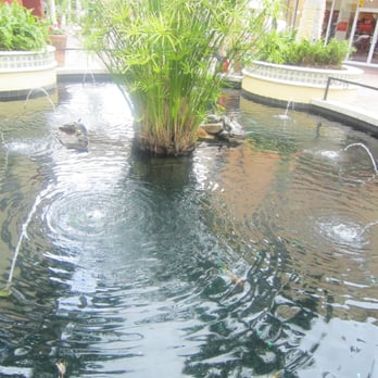 Miromar Outlets - turtles - Shopping Centers Near Me - Estero, Florida Miromar Outlets - turtles - Shopping Centers Near Me - Estero, Florida
