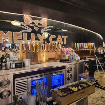 Smelly Cat Karaoke - Las Vegas - Nice drink selection - Karaoke Near Me - Las Vegas, Nevada Smelly Cat Karaoke - Las Vegas - Nice drink selection - Karaoke Near Me - Las Vegas, Nevada