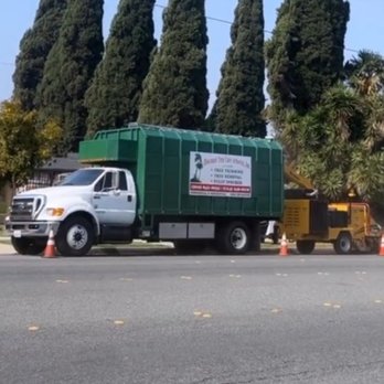 Discount Tree Care Arborist - Tree Services Near Me - Long Beach, California