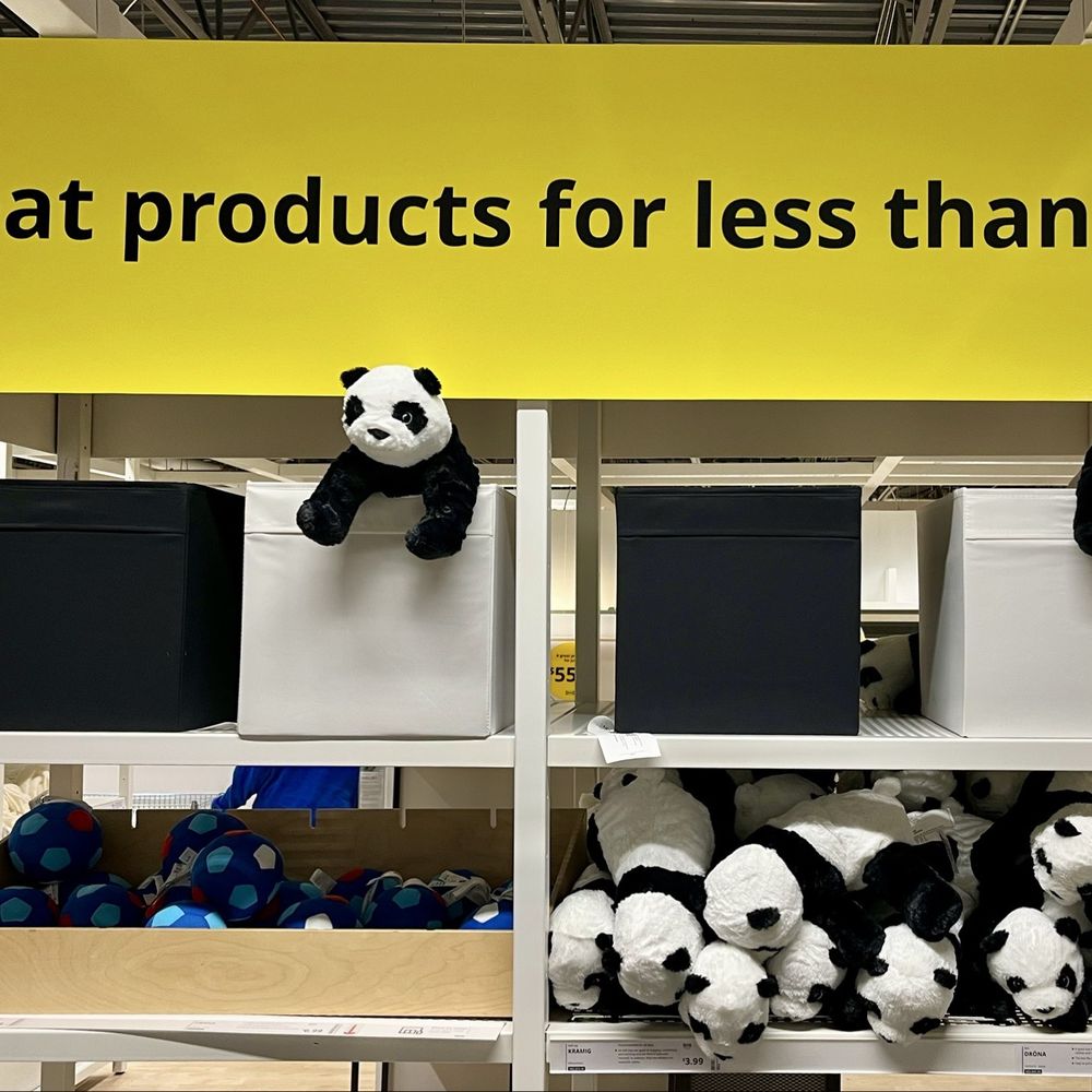 IKEA - Cute panda display - Scandinavian Near Me - Orlando, Florida IKEA - Cute panda display - Scandinavian Near Me - Orlando, Florida