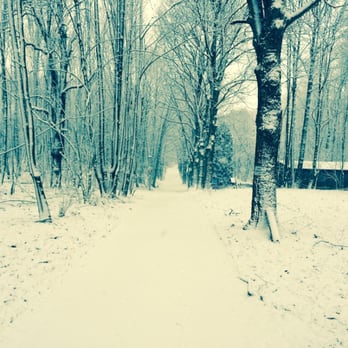 Haus Waldfrieden - Winterweg - German Near Me - Hagen, NW