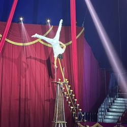 Do Portugal Circus