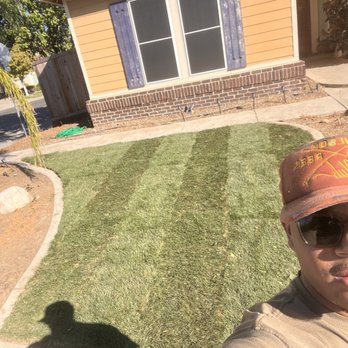 Maplewood Landscaping - Sod install in Elk Grove CA. 50/50 Fescue Bluegrass blend and complete irrigation install. - Landscaping Near Me Maplewood Landscaping - Sod install in Elk Grove CA. 50/50 Fescue Bluegrass blend and complete irrigation install. - Landscaping Near Me
