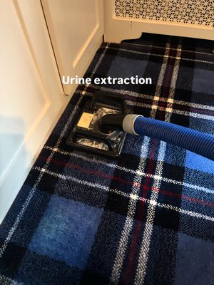 Hobbs Cleaning Service