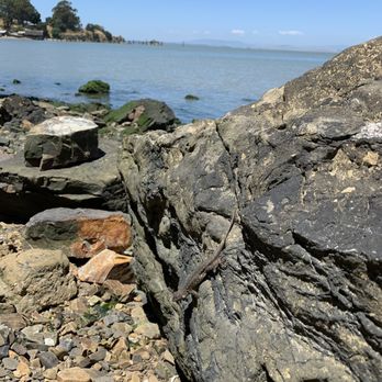 China Camp State Park - Parks Near Me - San Rafael, California China Camp State Park - Parks Near Me - San Rafael, California