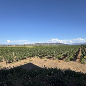 BOTTAIA Winery - Wine Tasting Room Near Me - Temecula, California