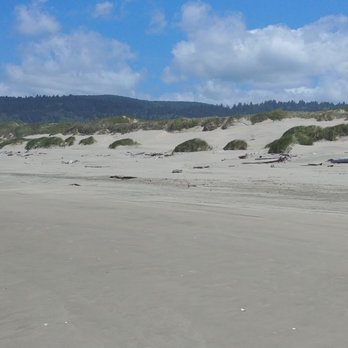 C & M Stables - Horseback Riding Near Me - Florence, Oregon