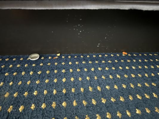 Grand Harbor Resort and Waterpark by null