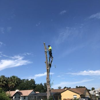 XD Land Service - Tree Services Near Me - Casselberry, Florida XD Land Service - Tree Services Near Me - Casselberry, Florida