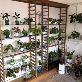 Fay Cafe - Nursery - Nurseries & Gardening Near Me - Sedona, Arizona