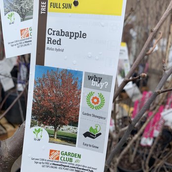 The Home Depot - Amazing prices on amazing trees (Feb 2022) - Hardware Stores Near Me - Oak Ridge, Tennessee The Home Depot - Amazing prices on amazing trees (Feb 2022) - Hardware Stores Near Me - Oak Ridge, Tennessee