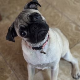Gigi being a good girl Gigi being a good girl