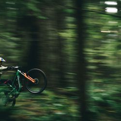 Ride the Redwoods - Ride the Redwoods Guided Rides