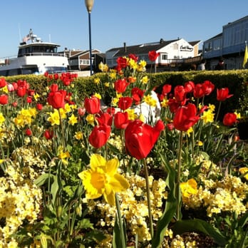 PIER 39 - Shopping Centers Near Me - San Francisco, California PIER 39 - Shopping Centers Near Me - San Francisco, California