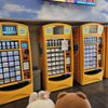 Primm Valley Lotto Store gift card