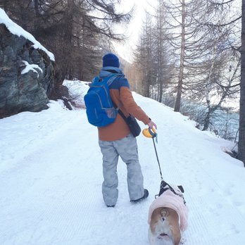 Rundwanderung Täsch - Hiking Near Me - Täsch, VS
