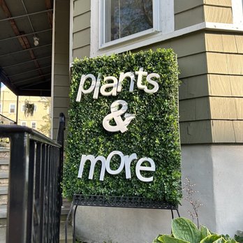 Thea Plant Co - Nurseries & Gardening Near Me - Providence, Rhode Island Thea Plant Co - Nurseries & Gardening Near Me - Providence, Rhode Island