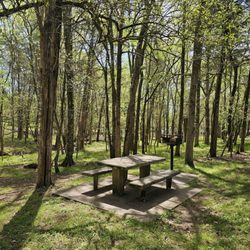 Bledsoe Creek State Park - Day use area