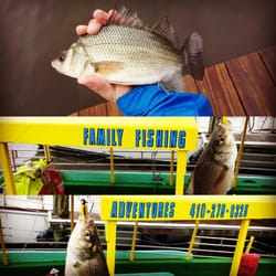 White Perch caught aboard the Sea Dragon~