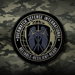 Overwatch Defense International