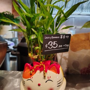 Soy Bean Chan Flower Shop - Florists Near Me - Flushing, New York