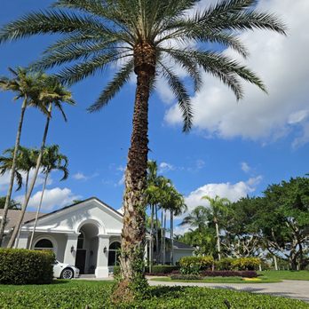 Prestige Design Landscaping - Landscaping Near Me Prestige Design Landscaping - Landscaping Near Me
