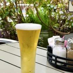 Stella artois - a fantastic light beer (03/2026)