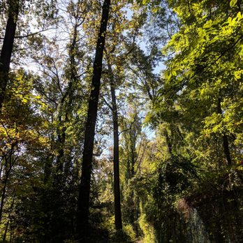 Rock Creek Park - Parks Near Me - Washington, DC, District of Columbia Rock Creek Park - Parks Near Me - Washington, DC, District of Columbia