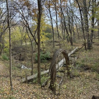 Fontenelle Forest - Community Service/Non-Profit Near Me - Bellevue, Nebraska