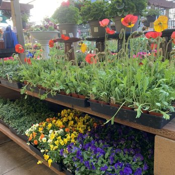 Ace Hardware - Flowers - Hardware Stores Near Me - West Los Angeles, California Ace Hardware - Flowers - Hardware Stores Near Me - West Los Angeles, California