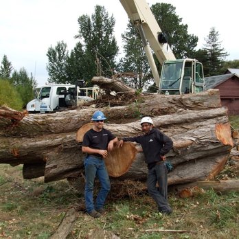 Wind Thin Tree Service - Tree Services Near Me - Portland, Oregon Wind Thin Tree Service - Tree Services Near Me - Portland, Oregon