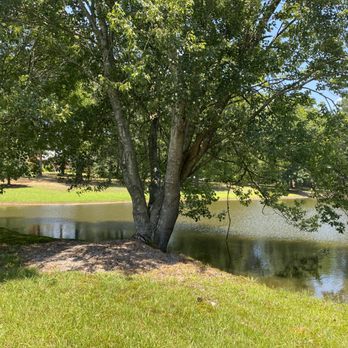 Celestial Riding Academy - Lake - Horseback Riding Near Me Celestial Riding Academy - Lake - Horseback Riding Near Me