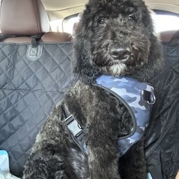 After groomed