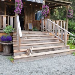 Crow Creek Mine - Tsunami keeping watch and greeting guests!