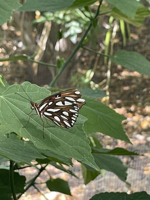 Springs Preserve by null