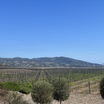 BOTTAIA Winery - Vineyard view - Wine Tasting Room Near Me - Temecula, California BOTTAIA Winery - Vineyard view - Wine Tasting Room Near Me - Temecula, California