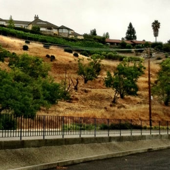 Town of Moraga - Growing grapes in your yard? No problem! - Local Flavor Near Me - Moraga, California Town of Moraga - Growing grapes in your yard? No problem! - Local Flavor Near Me - Moraga, California