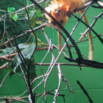 Idaho Falls Zoo - Zoos Near Me - Idaho Falls, Idaho Idaho Falls Zoo - Zoos Near Me - Idaho Falls, Idaho