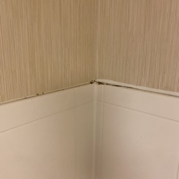 Residence Inn - Holland - Mold at the top of the shower - Hotels Near Me - Holland, Michigan Residence Inn - Holland - Mold at the top of the shower - Hotels Near Me - Holland, Michigan