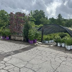 Nursery