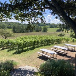 Big Little Wines - View from the patio