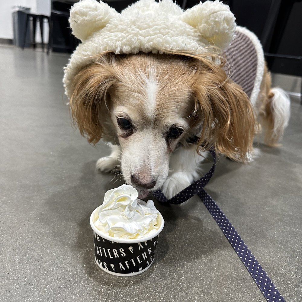 Afters Ice Cream - Ice Cream & Frozen Yogurt Near Me - Oxnard, California Afters Ice Cream - Ice Cream & Frozen Yogurt Near Me - Oxnard, California