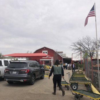 Eastside Discount Nursery - Nurseries & Gardening Near Me - El Paso, Texas