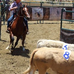 B Bar J Equestrian Training Centre - B Bar J also offers weekly Ranch Sorting practice and events